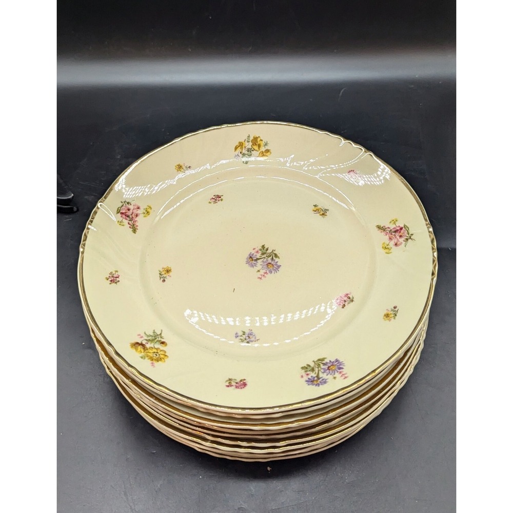 Set/10 Vintage‎ Arabia Of Finland Rosita Dinner Plate Flower Floral 10"